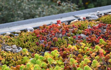 the cost of Capel St Andrew green roof installation