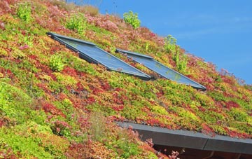 Capel St Andrew living roof systems