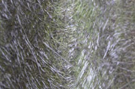 Capel St Andrew fibreglass roof work